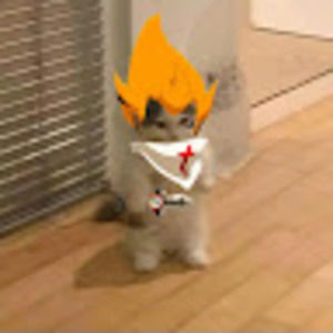 Meet your Posher, Braelynn